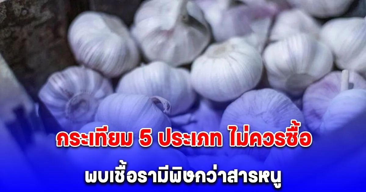 แม้แต่คนขายก็ยังไม่กล้ากิน กระเทียม 5 ประเภท ไม่ควรซื้อ พบเชื้อรามีพิษกว่าสารหนู