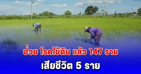 ปี 2568 อีสานตอนล่าง พบป่วย โรคไข้ดิน แล้ว 147 ราย เสียชีวิต 5 ราย เผยกลุ่มอาชีพเสี่ยงสุด