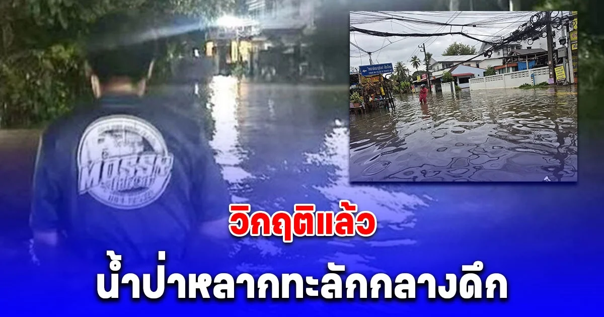 วิกฤติแล้ว เชียงใหม่ น้ำป่าหลากทะลักกลางดึก บางจุดสูงครึ่งเอว