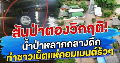 สันป่าตองวิกฤติ! น้ำป่าหลากกลางดึก ทะลักท่วมหมู่ 7 ต.ทุ่งสะโตก