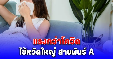 ยังไม่ถึงครึ่งปี ไข้หวัดใหญ่ป่วยแล้วกว่า 3 แสนคน โควิดป่วยสะสมเฉียด 1.5 แสนคน