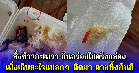 สั่งข้าวกะเพรา กินอร่อยไปครึ่งกล่อง เพิ่งเห็นอะไรแปลกๆ ติดมา คายทิ้งทันที
