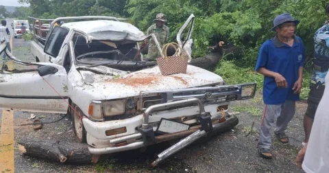 สลด! 3 พ่อแม่ลูกไปส่งข้าวให้ผู้ป่วยที่ รพ. แต่ถูกต้นไม้หักโค่นทับรถ พ่อแม่ดับคู่ ลูกสาวรอดชีวิต