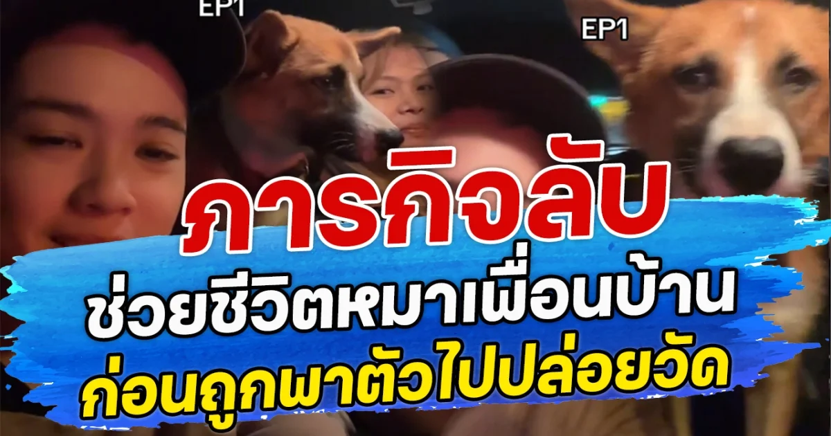 ภารกิจลับช่วยชีวิตหมา  เพื่อนบ้าน  ก่อนถูกพาตัวไปปล่อยวัด