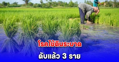 เตือนด่วน! เกษตรกร โรคไข้ดินระบาด ดับแล้ว 3 ราย