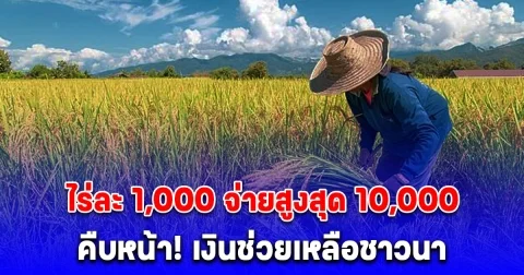 คืบหน้าล่าสุด เงินช่วยเหลือชาวนา ไร่ละ 1,000 จ่ายสูงสุด 10,000