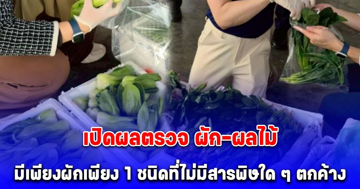 เปิดผลตรวจ ผัก-ผลไม้ นำเข้าด่านเชียงของ สารพิษเกินมาตรฐาน 7 ใน 10 มีเพียงผักเพียง 1 ชนิดที่ไม่มีสารพิษใด ๆ ตกค้าง