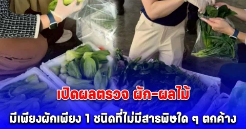 เปิดผลตรวจ ผัก-ผลไม้ นำเข้าด่านเชียงของ สารพิษเกินมาตรฐาน 7 ใน 10 มีเพียงผักเพียง 1 ชนิดที่ไม่มีสารพิษใด ๆ ตกค้าง