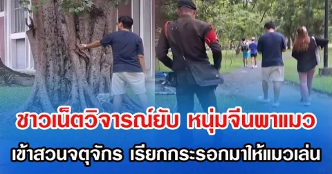 ชาวเน็ตวิจารณ์ยับ หนุ่มจีนพาแมวเข้าสวนจตุจักร เรียกกระรอกมาให้แมวตะครุบเล่น