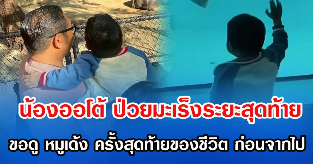 น้ำตาซึม น้องออโต้ ป่วยมะเร็งระยะสุดท้าย ได้ดู หมูเด้ง ครั้งสุดท้ายของชีวิตก่อนจากไป