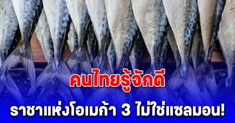 เข้าใจผิดมาตลอด! ราชาแห่งโอเมก้า 3 ไม่ใช่ปลาแซลม่อน แต่เป็นปลาชนิดนี้ คนไทยรู้จักดี