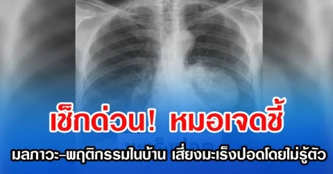 เช็กด่วน! หมอเจดชี้ มลภาวะ-พฤติกรรมในบ้าน เสี่ยงมะเร็งปอดโดยไม่รู้ตัว