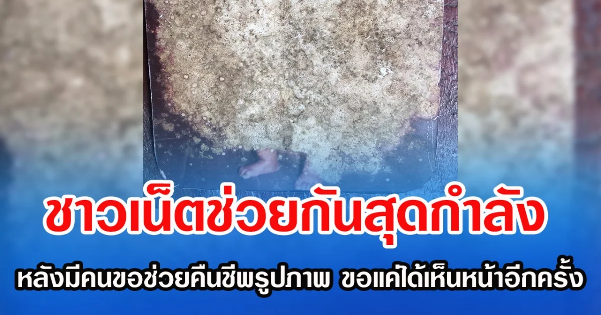 ชาวเน็ตช่วยกันสุดกำลัง หลังมีคนขอช่วยคืนชีพรูปภาพ ขอแค่ได้เห็นหน้าอีกครั้ง