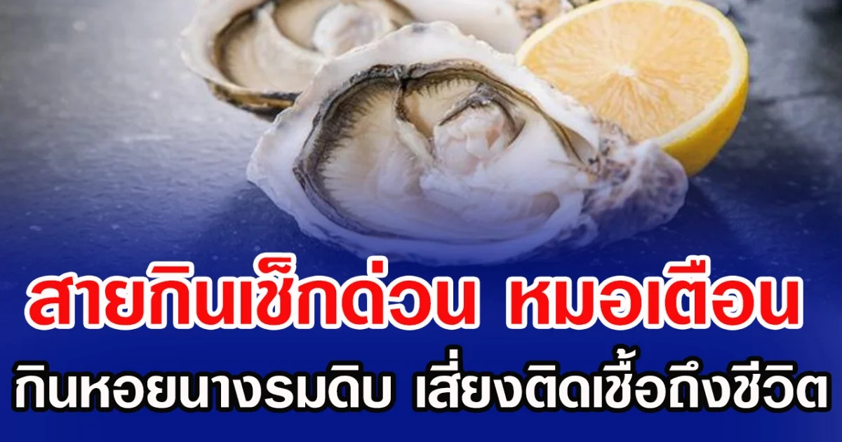 สายกินเซ็กด่วน หมอเตือน กินหอยนางรมดิบ เสี่ยงติดเชื้อถึงชีวิต
