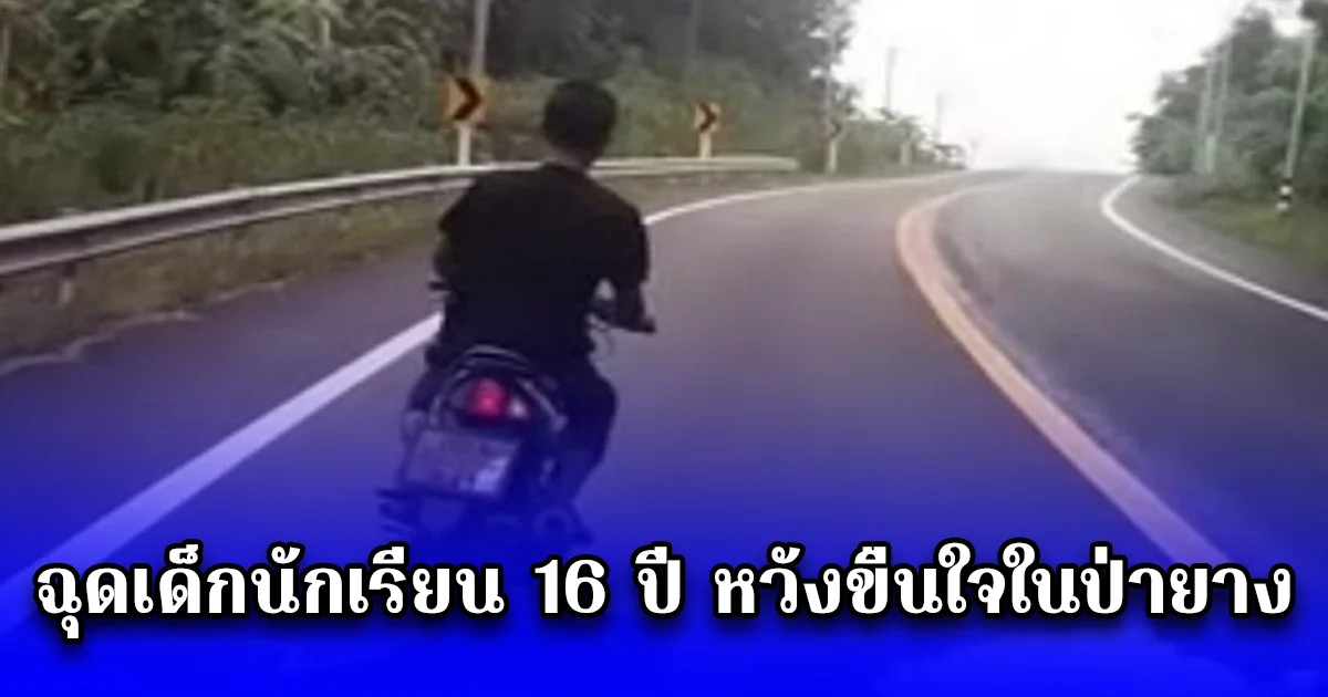 หนุ่มหลอนยาป่วยทางจิต ฉุดเด็กนักเรียน 16 ปี หวังขืนใจในป่ายาง