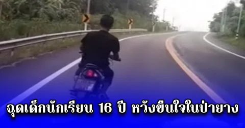 หนุ่มหลอนยาป่วยทางจิต ฉุดเด็กนักเรียน 16 ปี หวังขืนใจในป่ายาง