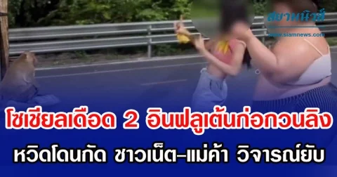 โซเชียลเดือด 2 อินฟลูเต้นก่อกวนลิง หวิดโดนกัด ชาวเน็ต-แม่ค้า วิจารณ์ยับ