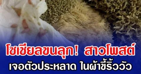โซเชียลขนลุก! สาวโพสต์ เจอ ตัวประหลาด ในผ้าขี้ริ้ววัว