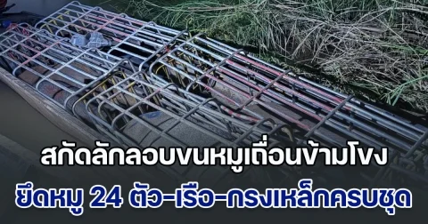 สกัดลักลอบขนหมูเถื่อนข้ามโขง ยึดหมู 24 ตัว-เรือ-กรงเหล็กครบชุด