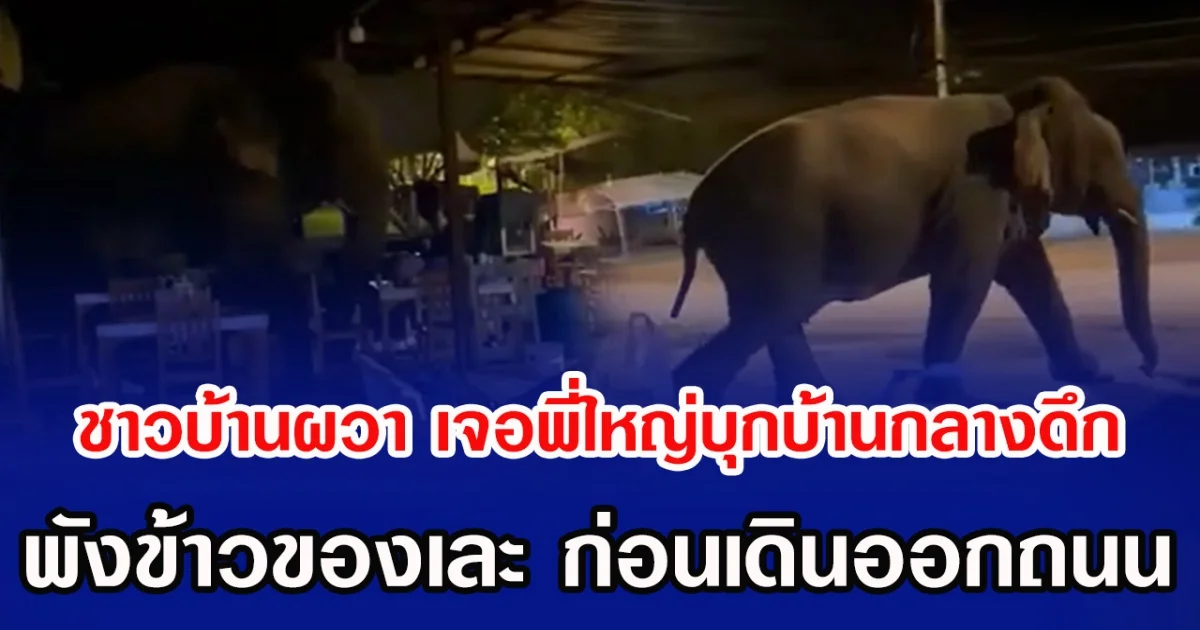 ชาวบ้านผวา เจอพี่ใหญ่บุกบ้านกลางดึก พังข้าวของเละ ก่อนเดินออกถนน