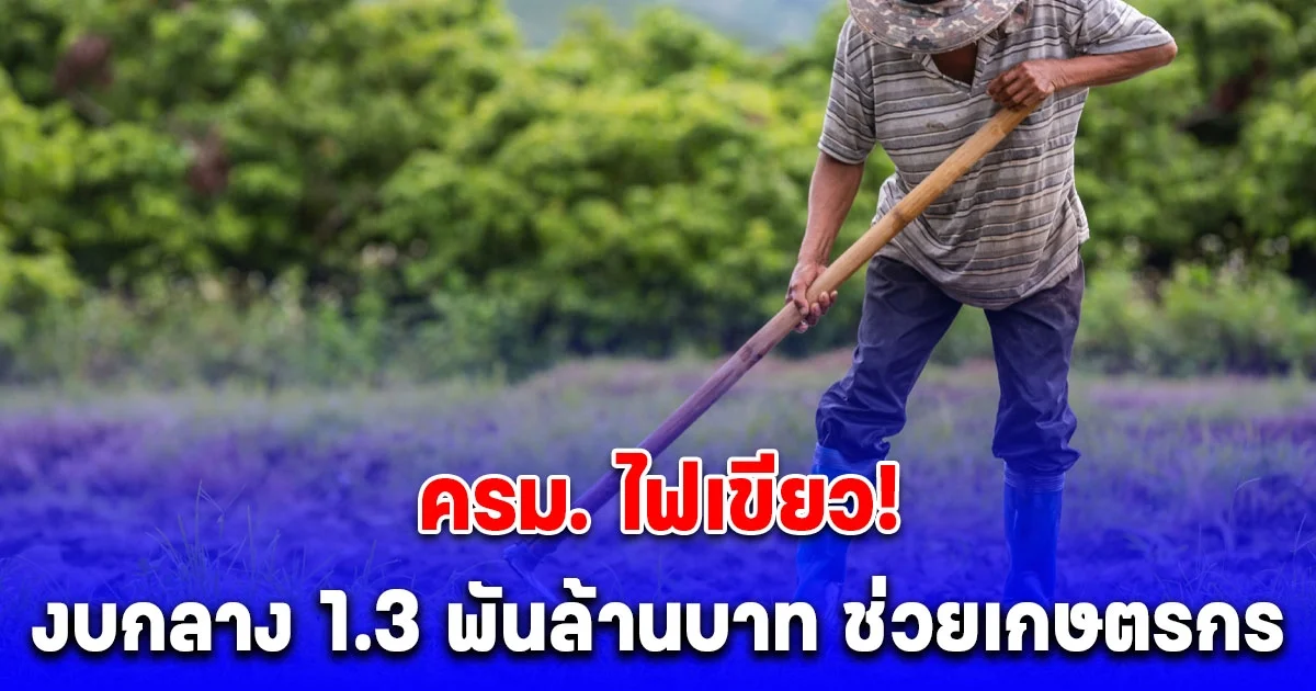 ครม. ไฟเขียว! งบกลาง 1.3 พันล้านบาท ช่วยเกษตรกร