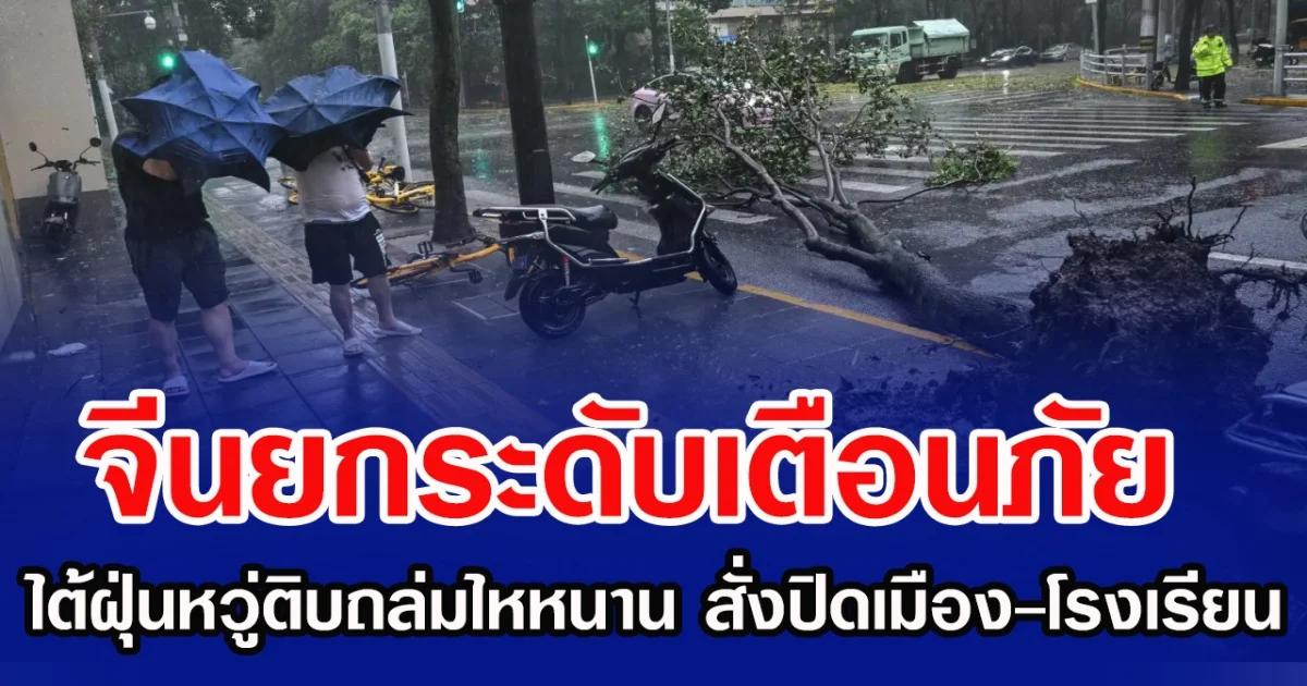 จีนยกระดับเตือนภัย ไต้ฝุ่นหวู่ติบถล่มไหหนาน สั่งปิดเมือง-โรงเรียน (ข่าวต่างประเทศ)