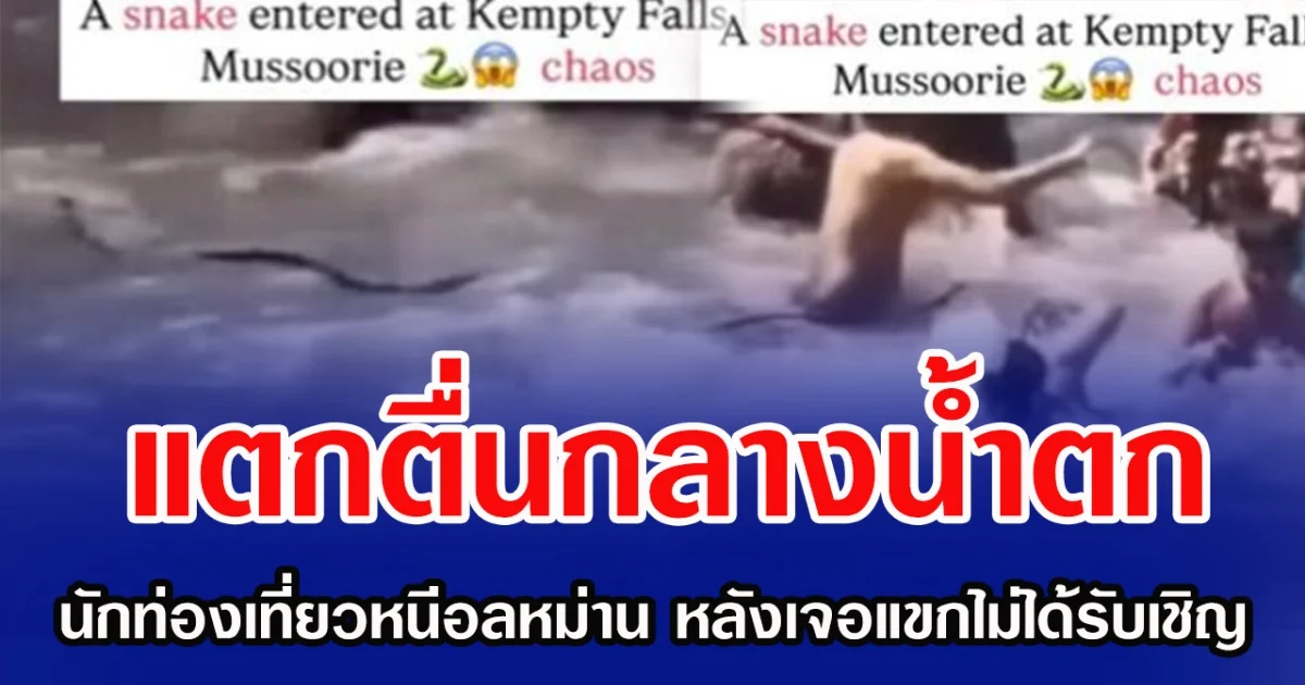 แตกตื่นกลางน้ำตก นักท่องเที่ยวหนีอลหม่าน หลังเจอแขกไม่ได้รับเชิญ ( ข่าวต่างประเทศ )