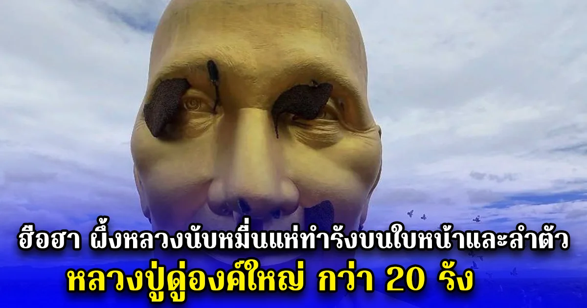 ฮือฮา ผึ้งหลวงนับหมื่นแห่ทำรังบนใบหน้าและลำตัว หลวงปู่ดู่องค์ใหญ่  กว่า 20 รัง