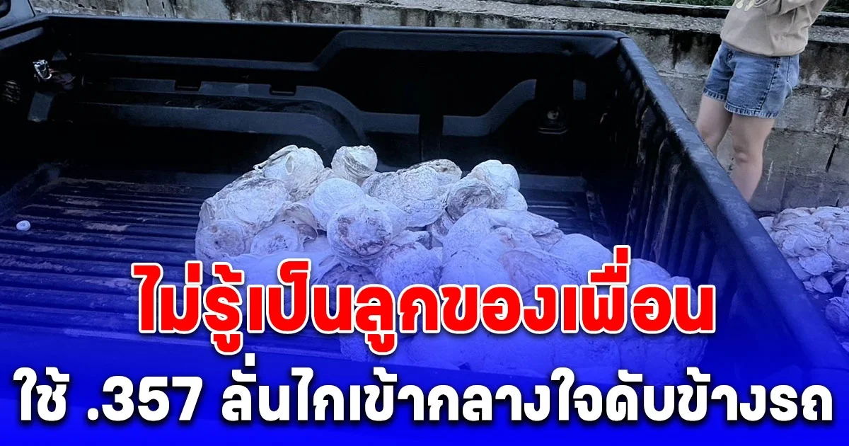 ไม่รู้เป็นลูกของเพื่อนขโมยก้อนยาง ใช้ .357 ลั่นไกเข้ากลางใจดับข้างรถ