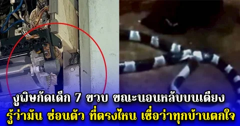 งูพิษกัดเด็ก 7 ขวบ ขณะนอนหลับบนเตียง รู้ว่ามัน ซ่อนตัว ที่ตรงไหน เชื่อว่าทุกบ้านตกใจ