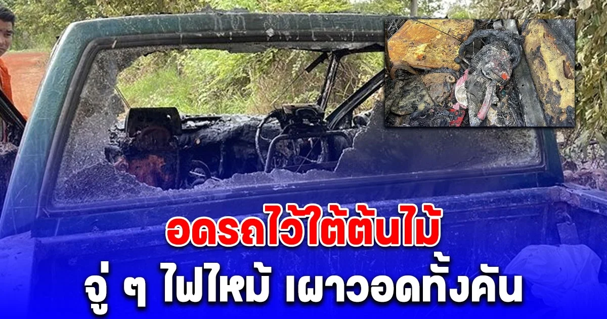 เจ้าของงง จอดรถไว้ใต้ต้นไม้หลบแดด จู่ ๆ ไฟไหม้ เผาวอดทั้งคัน เจ้าหน้าที่ตรวจสอบเจอสาเหตุแล้ว