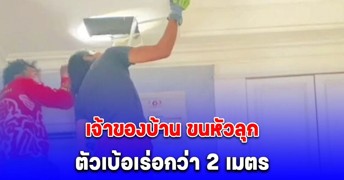 เจ้าของบ้านได้ยินเสียงปริศนามาหลายวัน ช็อกยาวกว่า 2 เมตร อยู่บนฝ้าเพดาน