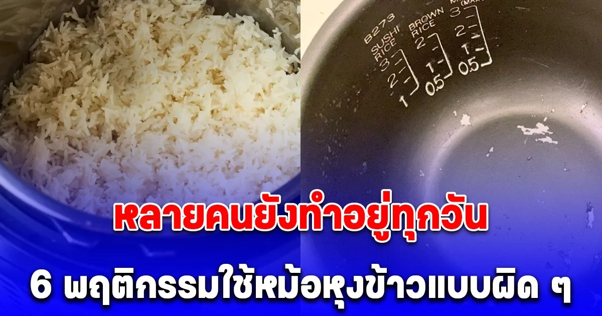 หลายคนยังทำอยู่ทุกวัน 6 พฤติกรรมใช้หม้อหุงข้าวแบบผิด ๆ ที่ บ่มมะเร็ง ไม่รู้ตัว