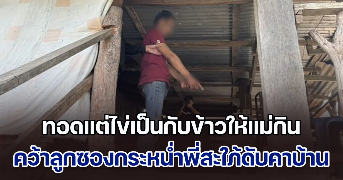 ฉุนพี่สะใภ้ ทอดแต่ไข่เป็นกับข้าวให้แม่กิน คว้าลูกซองกระหน่ำดับคาบันไดบ้าน