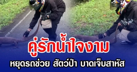 คู่รักนํ้าใจงาม หยุดรถช่วย สัตว์ป่า บาดเจ็บสาหัส ชาวเน็ตแห่ชื่นชม