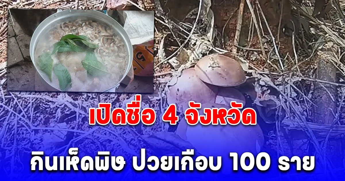 เปิดชื่อ 4 จังหวัด กินเห็ดพิษ ป่วยเกือบ 100 ราย