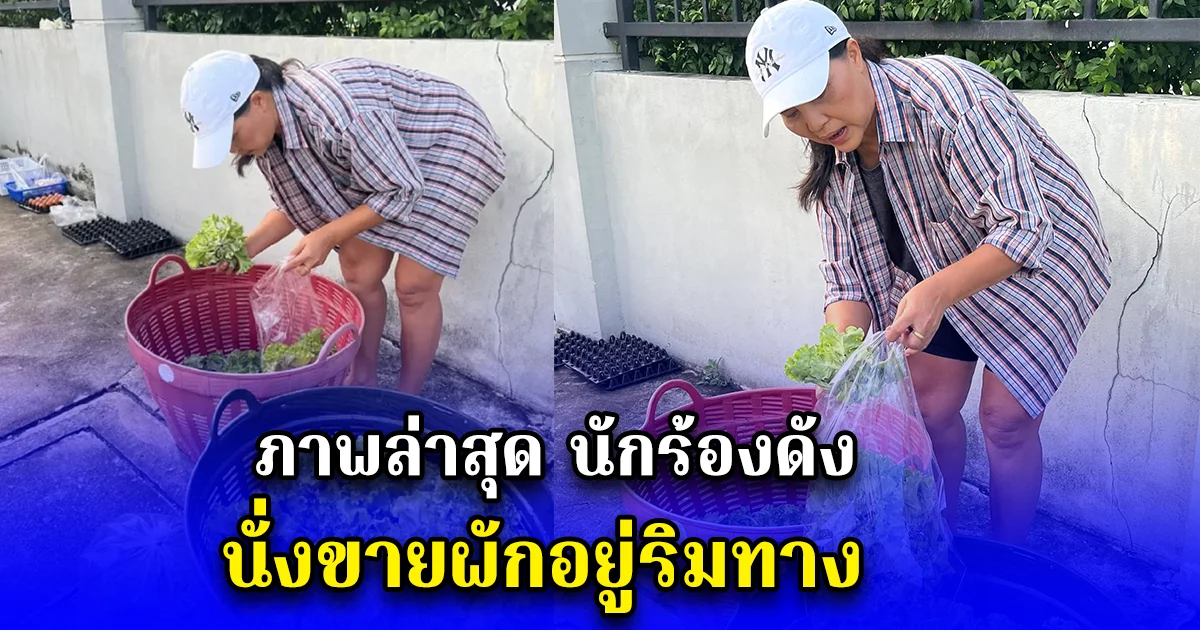 ภาพล่าสุด นักร้องดัง นั่งขายผักอยู่ริมทาง