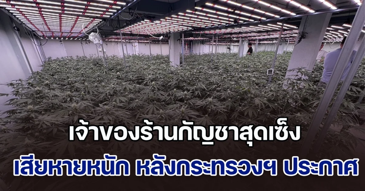 เพิ่งเปิดได้แค่ 2 วัน เจ้าของร้านกัญชาสุดเซ็ง เสียหายหนัก หลังกระทรวงฯ ประกาศกัญชาไม่เสรี