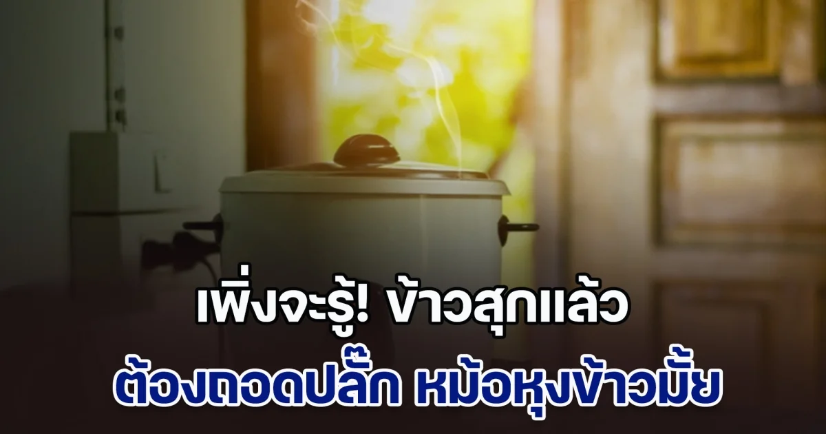 เพิ่งจะรู้! ข้าวสุกแล้วต้อง ถอดปลั๊ก หม้อหุงข้าวหรือไม่ หลายคนทำผิดมาตลอด