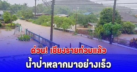 ด่วน! เชียงรายท่วมแล้ว น้ำป่าหลากมาอย่างเร็ว เร่งอพยพผู้สูงอายุ