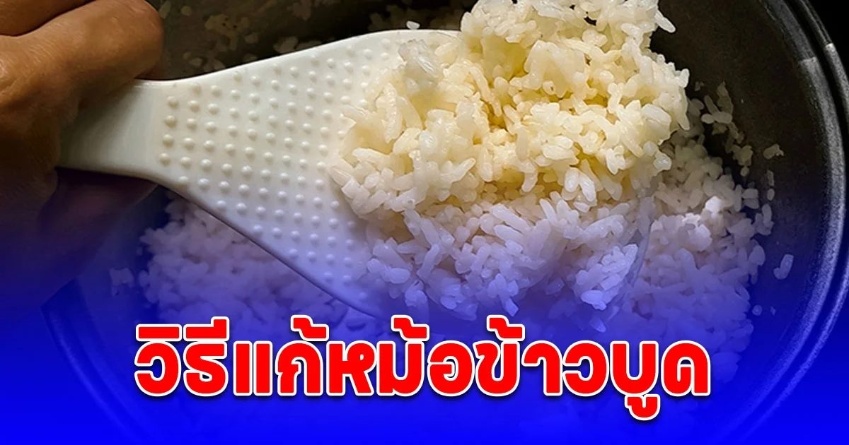 วิธีแก้หม้อข้าวบูด หมดปัญหากวนใจ