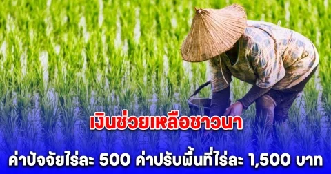 ประกาศแล้ว เงินช่วยเหลือชาวนา ค่าปัจจัยไร่ละ 500 ค่าปรับพื้นที่ไร่ละ 1,500 บาท