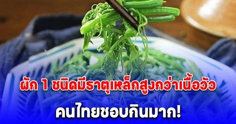 คนไทยชอบกินมาก ผัก 1 ชนิดมีธาตุเหล็กสูงกว่าเนื้อวัว จีนขนานนาม ยาบำรุงตับ
