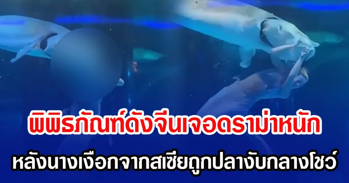 พิพิธภัณฑ์ดังจีนเจอดราม่าหนัก หลังนางเงือกจากสเซียถูกปลางับกลางโชว์ (ข่าวต่างประเทศ)