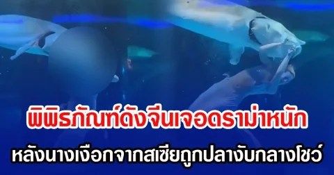 พิพิธภัณฑ์ดังจีนเจอดราม่าหนัก หลังนางเงือกจากสเซียถูกปลางับกลางโชว์ (ข่าวต่างประเทศ)