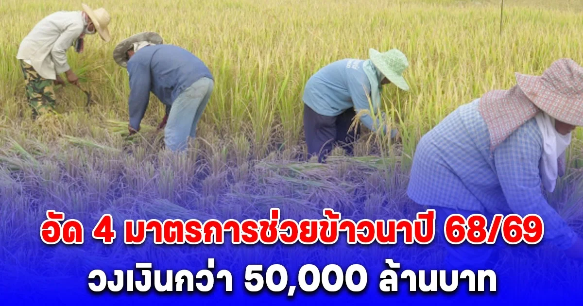 อัด 4 มาตรการช่วยข้าวนาปี 68/69 วงเงินกว่า 50,000 ล้านบาท