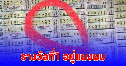 พ่อค้าลอตเตอรี่ร้องลั่น แตกแล้วครับ รางวัลที่1 แผงผม