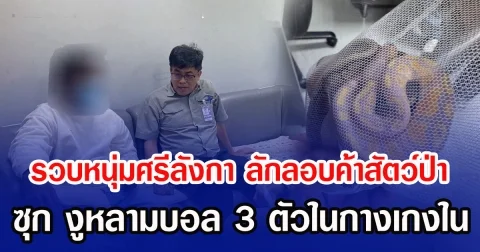 รวบหนุ่มศรีลังกา ลักลอบค้าสัตว์ป่า ซุก งูหลามบอล 3 ตัวในกางเกงใน