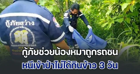 กู้ภัยช่วยน้องหมาถูกรถชน หนีเข้าป่าไม่ได้กินข้าว 3 วัน