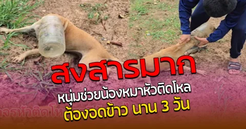 สุดซึ้ง น้องหมาหัวติดโหล รอดตายหวุดหวิด หลังติดนาน 3 วัน